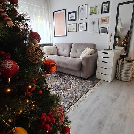 Peni Apartman Centar 巴尼西卢卡 外观 照片